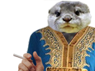 https://image.noelshack.com/minis/2017/49/6/1512833450-dvfdvdvfdvfd.png