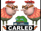 https://image.noelshack.com/minis/2017/49/6/1512836839-tison3.png