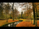 https://image.noelshack.com/minis/2017/49/7/1512939213-474397-park-osen-priroda-pejzazh-2560x1600-www-gdefon-ru.png