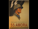 https://image.noelshack.com/minis/2017/49/7/1512939455-ss-amora-propaganda.png