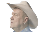 https://image.noelshack.com/minis/2017/50/2/1513034636-cow-boy-3.png