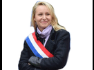 https://image.noelshack.com/minis/2017/50/2/1513088962-marion.png