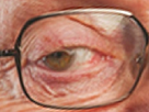 https://image.noelshack.com/fichiers/2017/50/2/1513096772-1-larry-chanceux.png