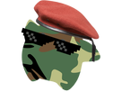 https://image.noelshack.com/minis/2017/50/2/1513107044-luma-militaire.png