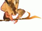 https://image.noelshack.com/minis/2017/50/3/1513179784-1.png