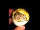 https://image.noelshack.com/fichiers/2017/50/3/1513201106-800px-balut.jpg