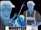 https://image.noelshack.com/minis/2017/50/4/1513210145-8.png