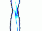https://image.noelshack.com/minis/2017/50/5/1513342114-52-bruw5t8g.png