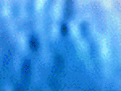 https://image.noelshack.com/minis/2017/50/5/1513343057-14-g026gtyy.png
