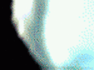 https://image.noelshack.com/minis/2017/50/5/1513343060-57-g026gtyy.png