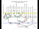 https://www.noelshack.com/2017-50-5-1513360838-4d6b38c75eeb6fc2f4397565813b05a4-turkic-languages-phylogenetic-tree.jpg