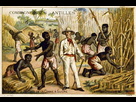 https://image.noelshack.com/minis/2017/50/5/1513368670-ob-5f0d01-esclavage-antilles.png