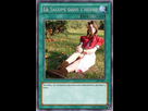 https://image.noelshack.com/minis/2017/50/7/1513526065-salopedansherbe.png
