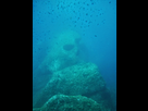 https://image.noelshack.com/minis/2017/50/7/1513543288-tete-de-mort-site-de-plongee-ajaccio.png