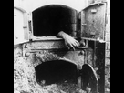 https://image.noelshack.com/minis/2017/51/1/1513604932-jew-in-oven.png