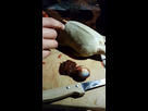 https://image.noelshack.com/minis/2017/51/2/1513723483-canard-5.png