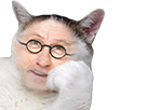 https://image.noelshack.com/minis/2017/51/3/1513739905-chajamy.png