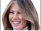 https://image.noelshack.com/fichiers/2017/51/4/1513811464-melania-8.png