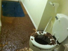 https://image.noelshack.com/minis/2017/51/4/1513859151-un-bon-gros-caca-4607556.png