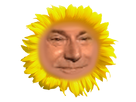https://image.noelshack.com/fichiers/2017/51/4/1513887567-pngpix-com-yellow-sunflower-flower-png-image.png