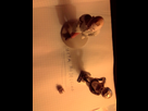 https://image.noelshack.com/minis/2017/51/4/1513889151-img-20171221-214239.png