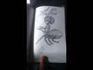 https://image.noelshack.com/minis/2017/51/5/1513900033-dsc-0068.png