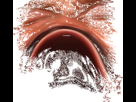 https://image.noelshack.com/minis/2017/51/5/1513947471-1510389279-puteputeputep.png