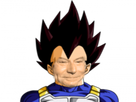 https://image.noelshack.com/fichiers/2017/51/6/1514060545-dbzjesus.png
