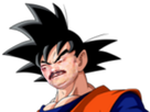 https://image.noelshack.com/minis/2017/51/6/1514060559-dbzrisitas.png