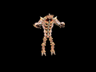 https://image.noelshack.com/minis/2017/51/6/1514062095-cre-hunter-175bc9df-sml.png