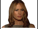 https://image.noelshack.com/minis/2017/51/7/1514076577-melania20.png
