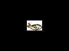 https://image.noelshack.com/minis/2017/51/7/1514130394-z-112.png