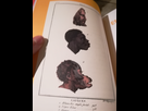 https://image.noelshack.com/minis/2017/51/7/1514153693-img-20171224-231404.png