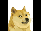 https://www.noelshack.com/2017-52-1-1514162998-doge.png