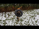 https://image.noelshack.com/minis/2017/52/1/1514202764-ak-pneu01.png