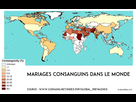 https://image.noelshack.com/minis/2017/52/1/1514234087-taux-de-mariages-consanguins-dans-le-monde-carte.png