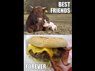 https://image.noelshack.com/fichiers/2017/52/1483288673-cow-and-pig-best-friends-forever-burger-with-bacon.jpg