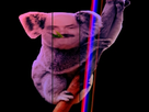 https://image.noelshack.com/minis/2017/52/2/1514309123-koala-dbe6e4854f198ae2bdb34b961951a2a4.png
