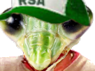 https://image.noelshack.com/minis/2017/52/3/1514332551-15888-full.png