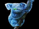 https://image.noelshack.com/minis/2017/52/3/1514380569-koala-dbe6e4854f198ae2bdb34b961951a2a4.png