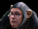 https://image.noelshack.com/minis/2017/52/4/1514487136-saden.png