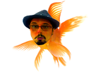 https://image.noelshack.com/minis/2017/52/5/1514512710-totosspoissonrouge.png