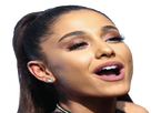 https://image.noelshack.com/fichiers/2017/52/5/1514520186-arianagrande-hairspray-2016-29.png