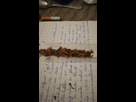 https://image.noelshack.com/minis/2017/52/5/1514569812-img-20171229-172728.png