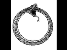 https://image.noelshack.com/minis/2017/52/5/1514578336-30336be89be3a80a64750389090cfa94-ouroboros-tattoo-the-snake.png
