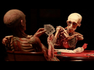 https://image.noelshack.com/minis/2017/52/5/1514585822-realbodies-tsa-720x400.png