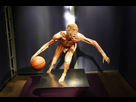 https://image.noelshack.com/minis/2017/52/5/1514586492-real-bodies.png