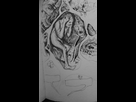 https://image.noelshack.com/minis/2017/52/5/1514588283-1514588086638839093053.png