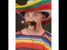https://image.noelshack.com/minis/2017/52/6/1514665529-far-west-cowboy-enormes-faux-cigare.png