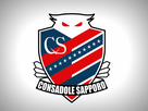 https://www.noelshack.com/2017-52-6-1514672724-consadole-sapporo.jpg